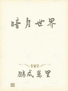 暗月世界