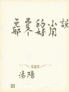 免费的小说网站哪个好用封面