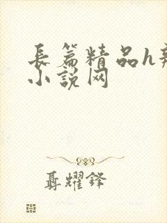 长篇精品h辣文小说网封面