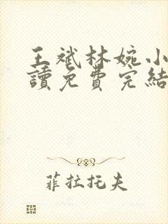 王斌林婉小说阅读免费完结版