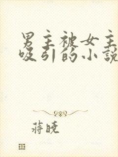 男主被女主深深吸引的小说