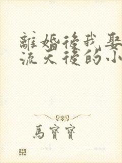 离婚后我娶了顶流天后的小说