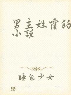 男主姓霍的古言小说