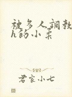 被多人调教失禁h的小柔封面