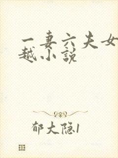 一妻六夫女主穿越小说