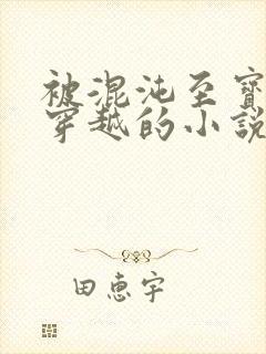 被混沌至宝带着穿越的小说