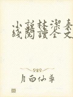 小说林洁秦齐在线阅读全文封面