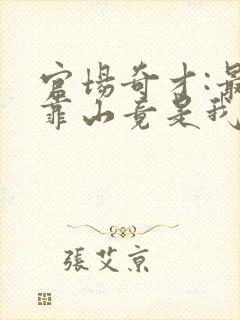 官场奇才:最强靠山竟是我自己李澜全本阅