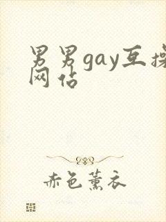 男男gay互操网站