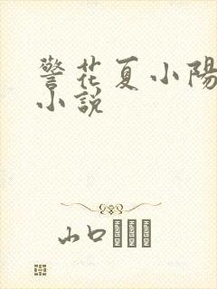 警花夏小阳被强小说封面