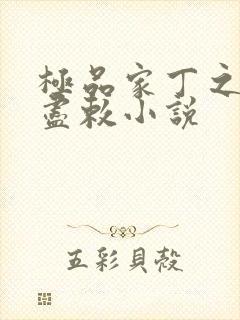 极品家丁之遗芳尽敕小说