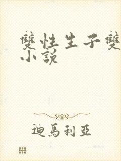 双性生子双男主小说