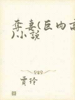 夺妻(巨肉高h)小说封面