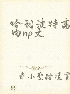 哈利波特高h纯肉np文