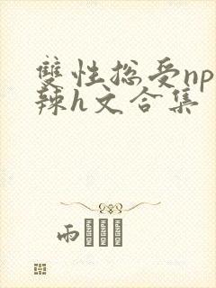 双性总受np高辣h文合集封面