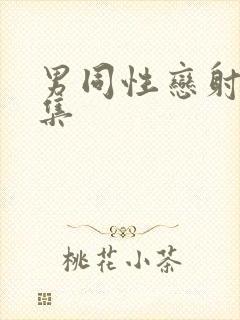 男同性恋射精合集