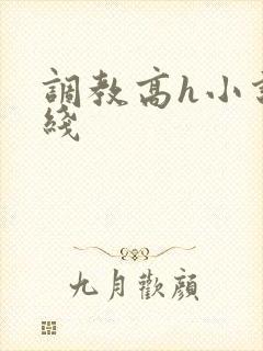 调教高h小说在线