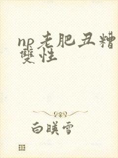 np老肥丑糟蹋双性