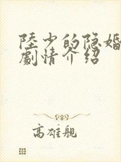 陆少的隐婚罪妻剧情介绍封面