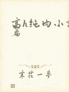 高h纯肉小说短篇