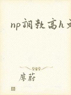 np调教高h文