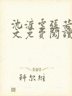 沈渡云张若琳全文免费阅读小说封面