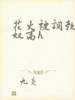 花火被调教成肉奴高h