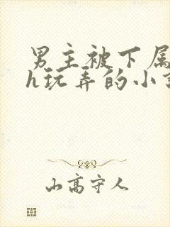 男主被下属调教h玩弄的小说