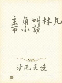 主角叫林凡的都市小说