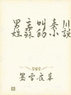 男主叫秦川女主姓苏的小说