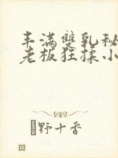 丰满双乳秘书被老板狂揉小说