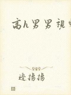 高h男男视频封面