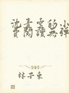 沈青云的小说免费阅读无弹窗全文最新章节