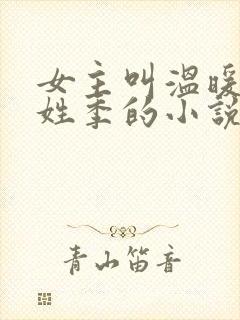 女主叫温暖男主姓季的小说封面