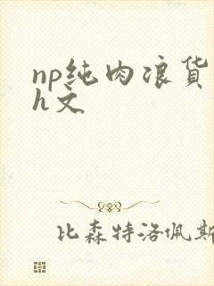 np纯肉浪货高h文封面