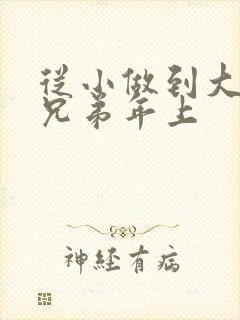 从小做到大骨科兄弟年上封面