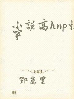 小说高hnp快穿