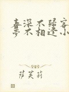 春深不归客,清梦不相逢小说