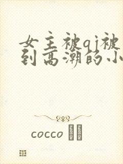 女主被qj被强到高潮的小说