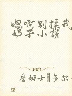 嗯啊别揉我的大奶子小说