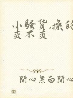 小骚货,操的你爽不爽封面