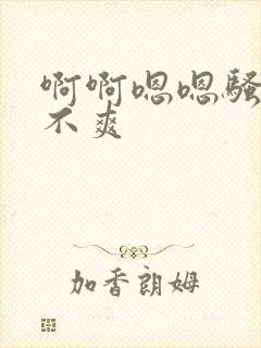 啊啊嗯嗯骚货爽不爽