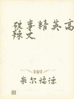 破事精英高h肉辣文