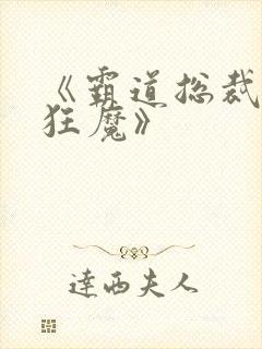 《霸道总裁宠妻狂魔》封面