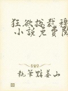 狂欲总裁穆非雪 小说免费阅读