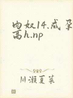 肉奴14.成孕高h.np