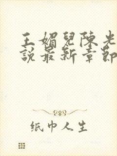 王媚儿陈光达小说最新章节更新时间封面