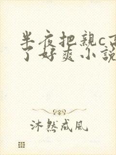 半夜把亲c高潮了好爽小说