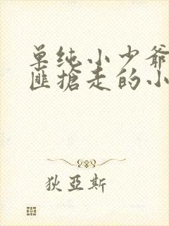 单纯小少爷被土匪抢走的小说