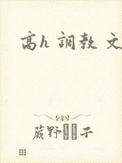 高h 调教 文封面